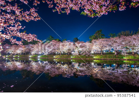 Aomori Prefecture Hirosaki Castle Cherry Blossom Festival/Yozakura 95387541