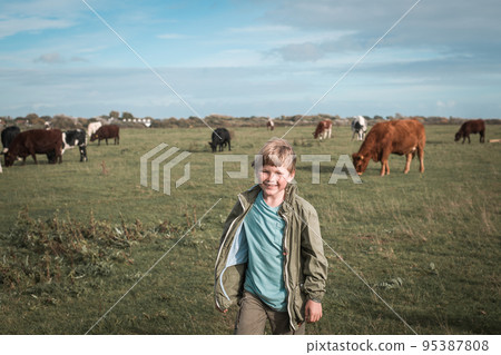 Brave school kid is walking in the field with cows. Little blond boy is looking at a herd of cows in the country. Image with toning. Child and animals 95387808