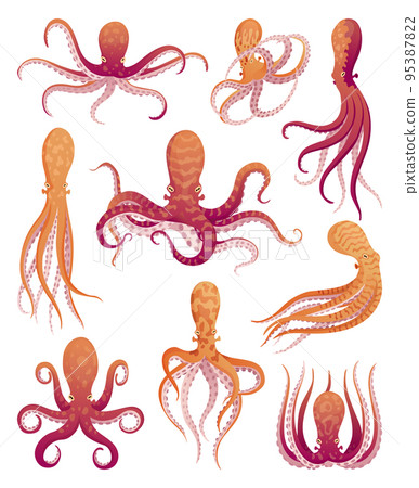 Octopus cartoon flat characters set. Aquatic fauna icons. Animals illustration for zoo ad, nature concept. Cute color octopuses, sea animals with tentacles 95387822