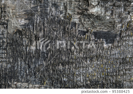 The texture of old plywood. The background is made 95388425