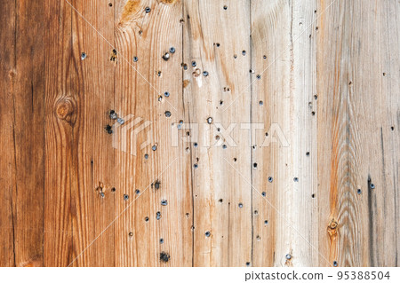 Wooden texture with vertical lines. The texture of 95388504