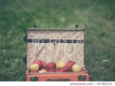 Multicolored apples full of trunks 95389232