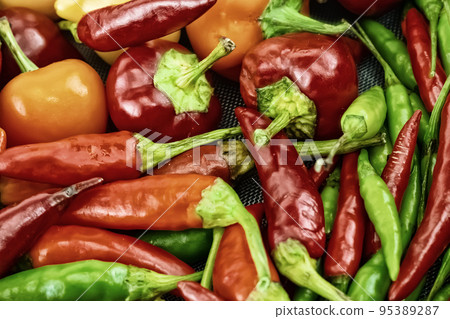 assorted hot peppers red and green close-up, fresh vegetables assorted hot peppers red and green close-up, fresh vegetables 95389287