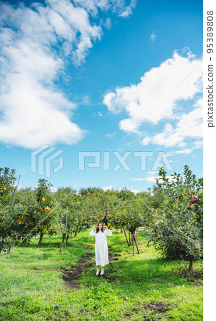 Portrait at the apple farm under the blue sky Portrait at the apple farm under the blue sky 95389808
