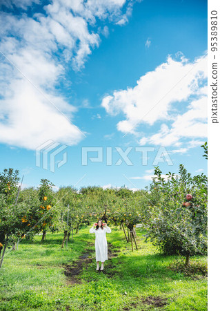 藍天下蘋果農場的肖像 藍天下蘋果農場的肖像 95389810