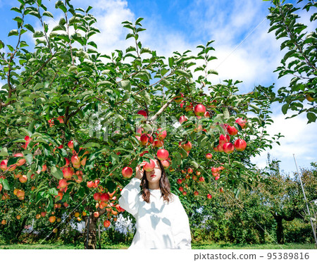 Portrait at the apple farm under the blue sky Portrait at the apple farm under the blue sky 95389816