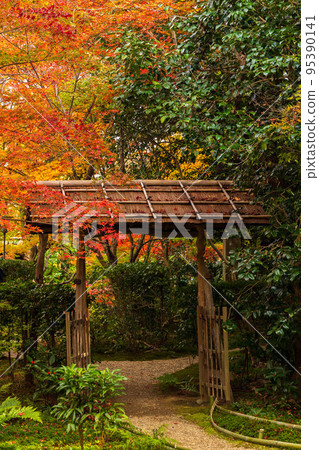 Autumn in Kyoto Arashiyama Enri-an garden with autumn leaves Autumn in Kyoto Arashiyama Enri-an garden with autumn leaves 95390141