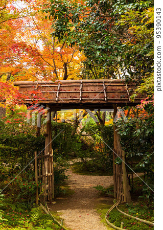 秋葉在京都嵐山延裡庵花園 95390143