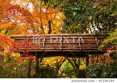 Autumn in Kyoto Arashiyama Enri-an garden with autumn leaves 95390144