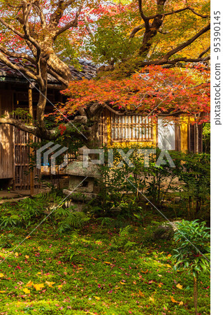 Autumn in Kyoto Arashiyama Enri-an garden with autumn leaves Autumn in Kyoto Arashiyama Enri-an garden with autumn leaves 95390145