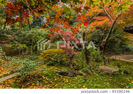 Autumn in Kyoto Arashiyama Enri-an garden with autumn leaves 95390146
