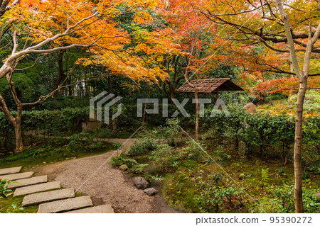 Autumn in Arashiyama, Kyoto Enri-an with autumn leaves Autumn in Arashiyama, Kyoto Enri-an with autumn leaves 95390272