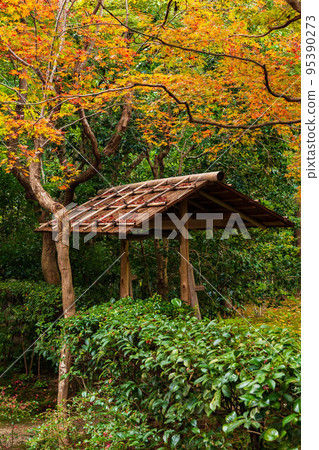 Autumn in Kyoto Arashiyama Enri-an garden with autumn leaves Autumn in Kyoto Arashiyama Enri-an garden with autumn leaves 95390273