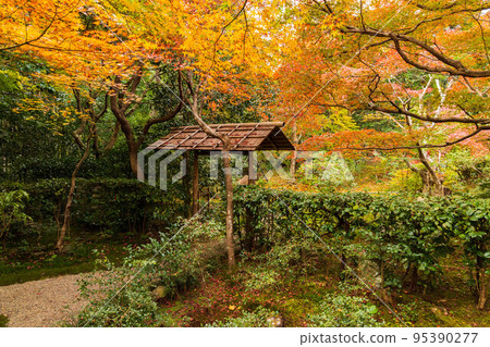 Autumn in Kyoto Arashiyama Enri-an garden with autumn leaves Autumn in Kyoto Arashiyama Enri-an garden with autumn leaves 95390277