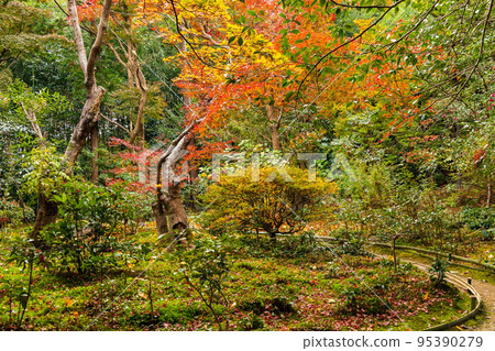 Autumn in Kyoto Arashiyama Enri-an garden with autumn leaves Autumn in Kyoto Arashiyama Enri-an garden with autumn leaves 95390279