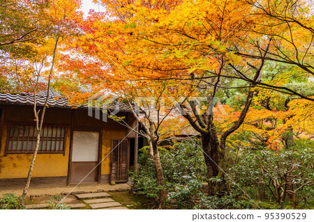 Autumn in Kyoto Arashiyama Enrian Shoin with autumn leaves 95390529