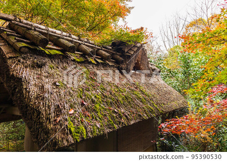 Autumn in Arashiyama, Kyoto: Enri-an Shiguretei with autumn leaves Autumn in Arashiyama, Kyoto: Enri-an Shiguretei with autumn leaves 95390530