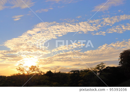 秋天傍晚的天空，太陽，雲，樹 95391036