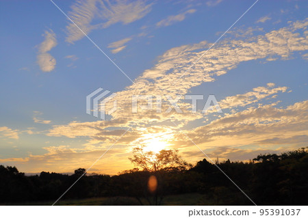 秋天傍晚的天空,太陽,雲,樹 秋天傍晚的天空,太陽,雲,樹 95391037