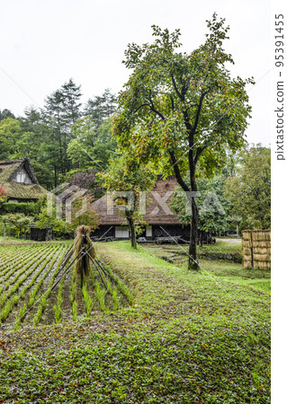 Hida no Sato in autumn (rainy weather) 95391455