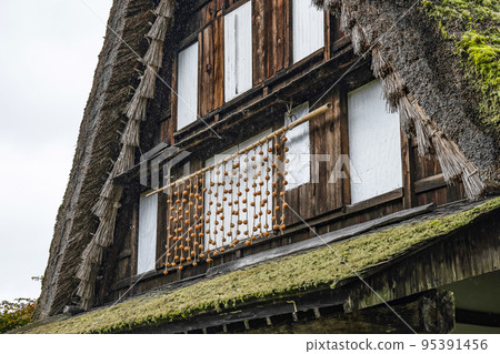 秋天的飛騨之鄉（陰雨天氣） 95391456