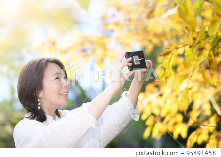 A woman who enjoys autumn sightseeing such as autumn leaves viewing Yellow 95391458