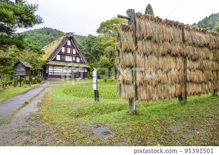飛驒之裡（雨天）秋天的車田 95391501