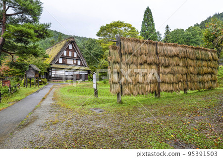 飛驒之裡（雨天）秋天的車田 95391503