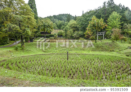 Hida no Sato (rainy weather) Kurumada in autumn Hida no Sato (rainy weather) Kurumada in autumn 95391509
