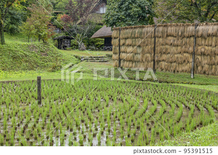 Hida no Sato (rainy weather) Kurumada in autumn Hida no Sato (rainy weather) Kurumada in autumn 95391515