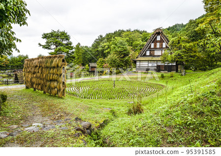 飛驒之裡(雨天)秋天的車田 飛驒之裡(雨天)秋天的車田 95391585