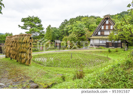 Hida no Sato (rainy weather) Kurumada in autumn 95391587