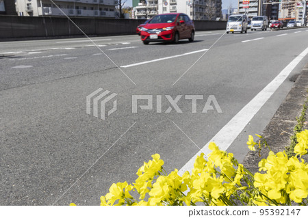 路邊酢漿草開花與10號國道上行駛的汽車風景 95392147
