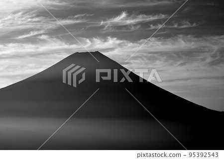 Dawn of Mt. Fuji from the Inokashira Forest Road Monochrome Dawn of Mt. Fuji from the Inokashira Forest Road Monochrome 95392543
