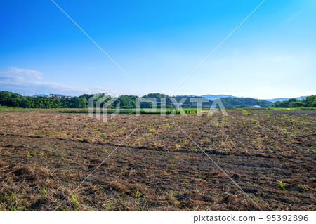 關越高速公路花園IC附近 農田風光 初夏時節 95392896
