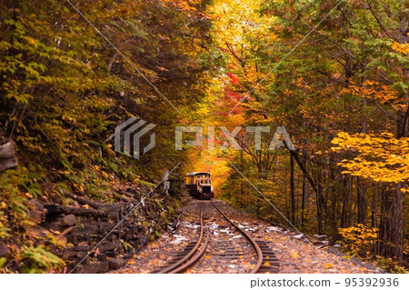 [長野縣]赤澤森林鐵路穿過赤澤自然休養林的紅葉隧道 95392936