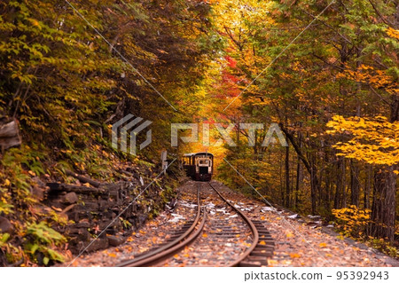 [Nagano Prefecture] Akasawa Forest Railway runs through a tunnel of colored leaves in the Akasawa Natural Recreational Forest 95392943