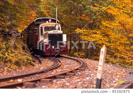 [長野縣]赤澤森林鐵路穿過赤澤自然休養林的紅葉隧道 95392975