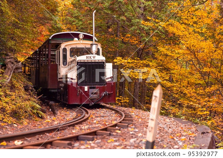 [長野縣]赤澤森林鐵路穿過赤澤自然休養林的紅葉隧道 95392977