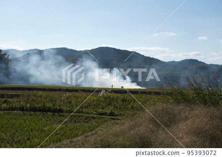 Field burning scenery Field burning scenery 95393072
