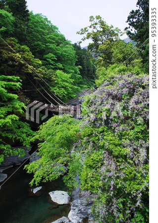 Kazura Bridge Kazura Bridge 95393335