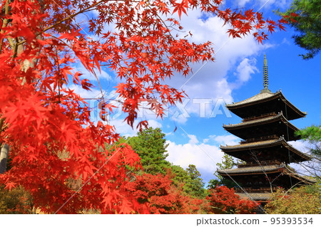 Autumn leaves in front of the five-storied pagoda at Ninna-ji Temple (Ukyo Ward, Kyoto City) 95393534