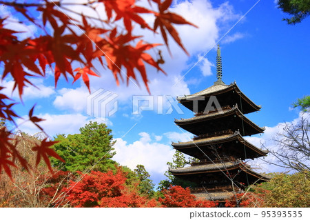 Autumn leaves in front of the five-storied pagoda at Ninna-ji Temple (Ukyo Ward, Kyoto City) Autumn leaves in front of the five-storied pagoda at Ninna-ji Temple (Ukyo Ward, Kyoto City) 95393535