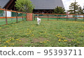 [Hokkaido] Road Station House Yarubi Naie “Dog Run” 95393711