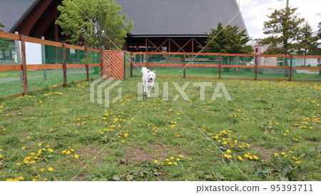 [Hokkaido] Road Station House Yarubi Naie “Dog Run” 95393711