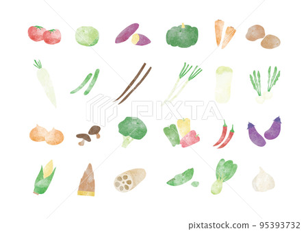 Vegetable Illustration Vegetable Illustration 95393732