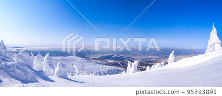 Clear skiing course on frost-covered trees (Zao Onsen Ski Resort, Yamagata Prefecture) 95393891