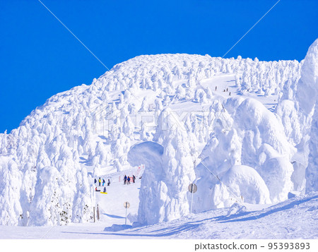Looking up at the rime field course on the top of the mountain (Zao Onsen Ski Resort, Yamagata Prefecture) 95393893