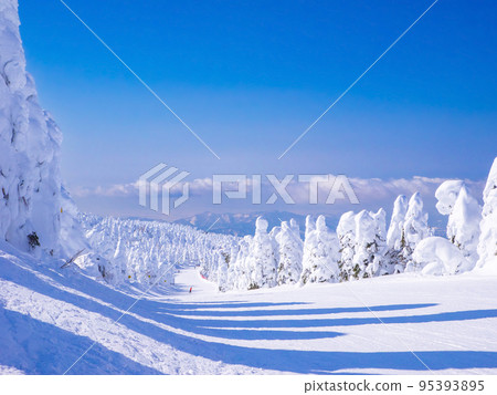Clear skiing course on frost-covered trees (Zao Onsen Ski Resort, Yamagata Prefecture) Clear skiing course on frost-covered trees (Zao Onsen Ski Resort, Yamagata Prefecture) 95393895