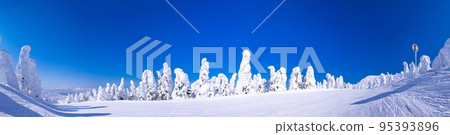 [Panorama Photo] Rime Snow Field Skiing Course in Sunny Weather (Zao Onsen Ski Resort, Yamagata Prefecture) 95393896